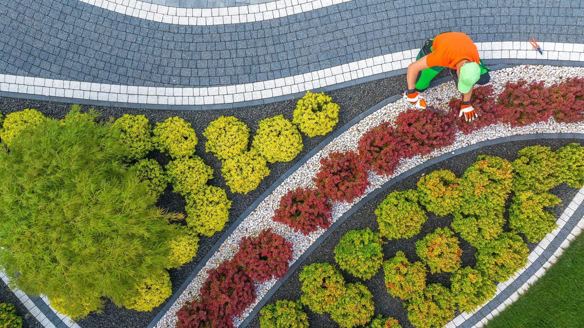 Landscaping specialists in action